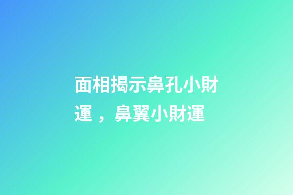 面相揭示鼻孔小財運，鼻翼小財運